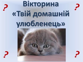 Вікторина
«Твій домашній
улюбленець»
 