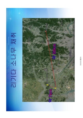 29
리기다소나무채취
 