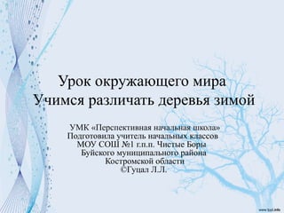 Учимся Различать Деревья Зимой | PPT