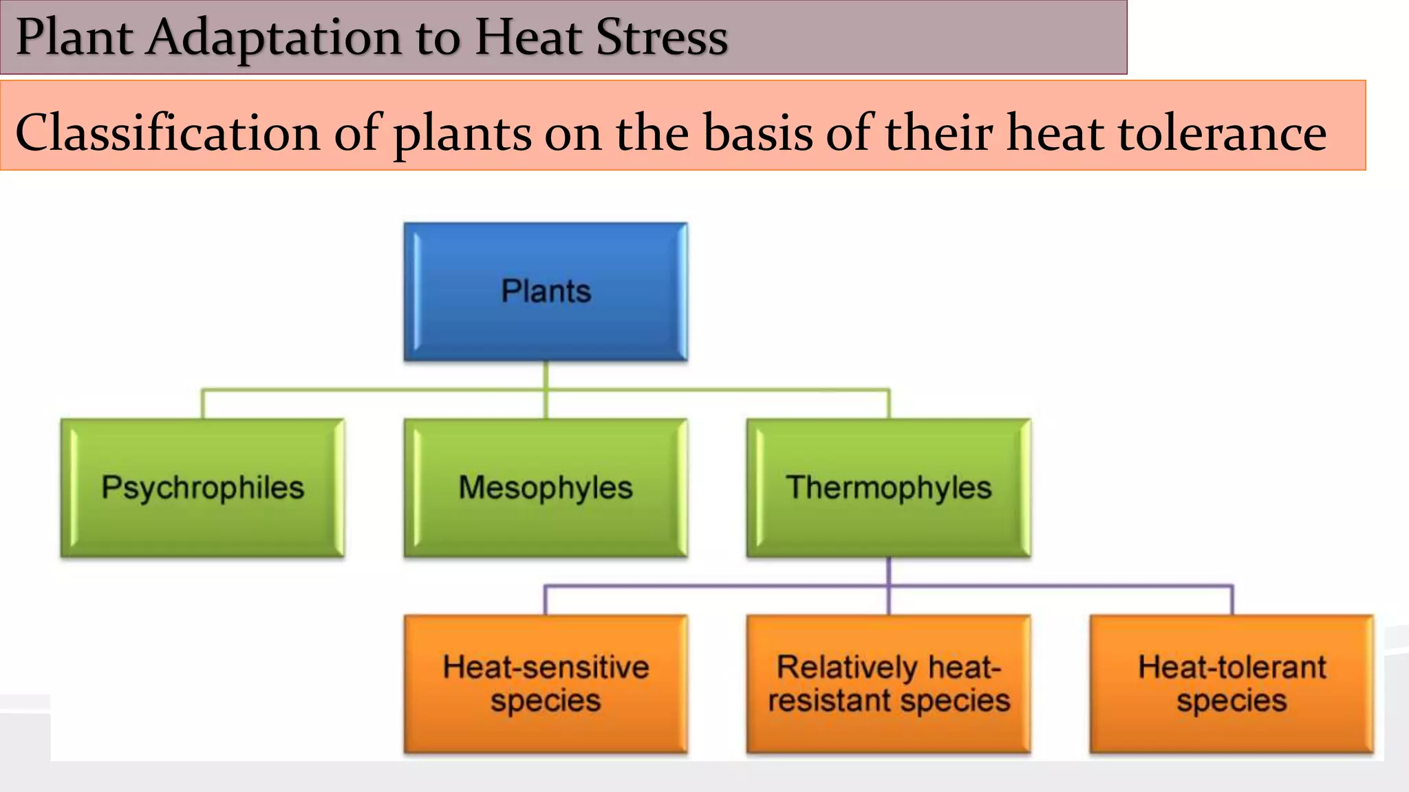 Plant Response to Heat Stress | PPTX