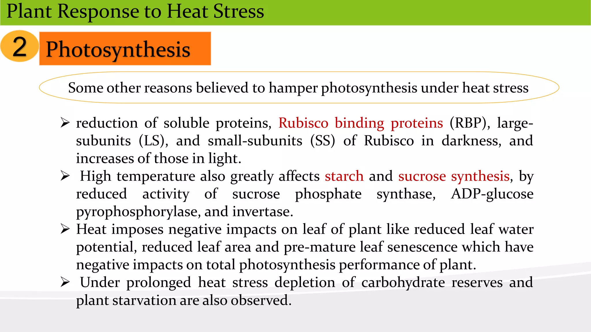 Plant Response to Heat Stress | PPTX