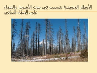 ‫والقض‬ ‫األشجار‬ ‫موت‬ ‫في‬ ‫تتسبب‬ ‫الحمضية‬ ‫األمطار‬‫اء‬
‫النباتي‬ ‫الغطاء‬ ‫على‬
 