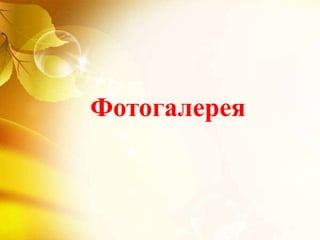 Фотогалерея
 