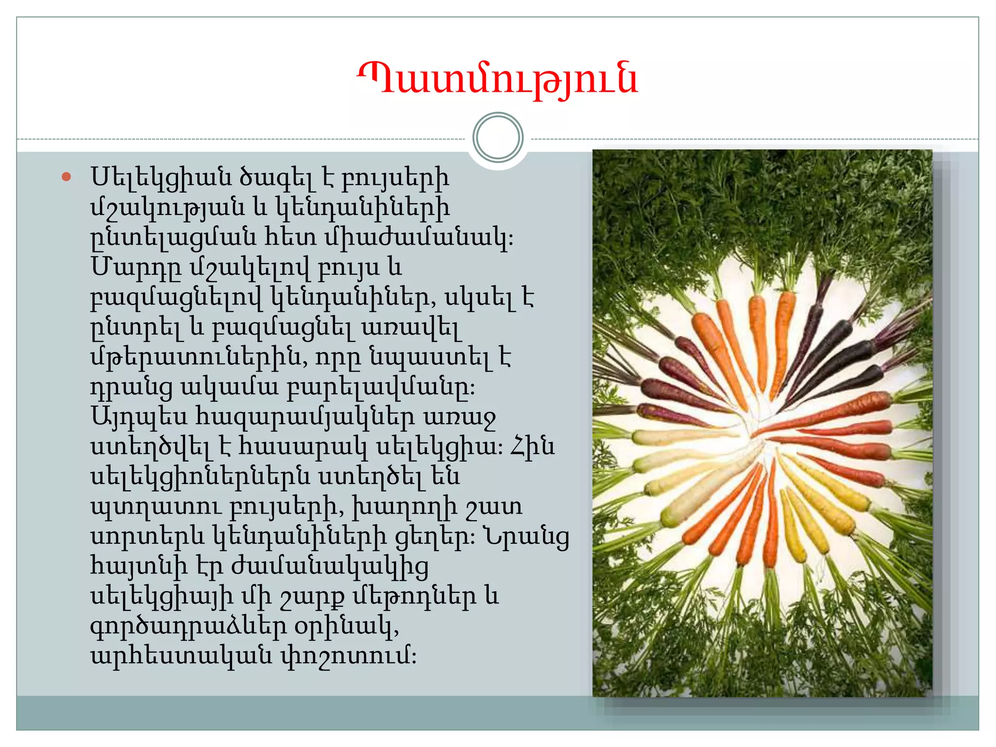 Պատմություն
 Սելեկցիան ծագել է բույսերի
մշակության և կենդանիների
ընտելացման հետ միաժամանակ։
Մարդը մշակելով բույս և
բազմացնելով կենդանիներ, սկսել է
ընտրել և բազմացնել առավել
մթերատուներին, որը նպաստել է
դրանց ակամա բարելավմանը։
Այդպես հազարամյակներ առաջ
ստեղծվել է հասարակ սելեկցիա։ Հին
սելեկցիոներներն ստեղծել են
պտղատու բույսերի, խաղողի շատ
սորտերև կենդանիների ցեղեր։ Նրանց
հայտնի էր ժամանակակից
սելեկցիայի մի շարք մեթոդներ և
գործադրաձևեր օրինակ,
արհեստական փոշոտում։
 