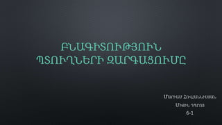 ԲՆԱԳԻՏՈՒԹՅՈՒՆ
ՊՏՈՒՂՆԵՐԻ ԶԱՐԳԱՑՈՒՄԸ
ՄԱՐԻԱՄ ՀՈՎՀԱՆՆԻՍՅԱՆ
ՄԻՋԻՆ ԴՊՐՈՑ
6-1
 