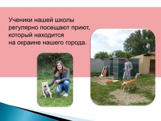 Ученики нашей школы
регулярно посещают приют,
который находится
на окраине нашего города.
 