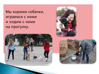 Мы кормим собачки,
играемся с ними
и ходим с ними
на прогулку.
 