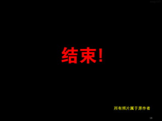 18
所有照片属于原作者
 