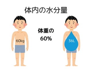 体内の水分量
60kg 36L
体重の
60%
 