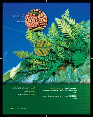 التكاثر في النباتات | PDF