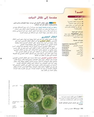 التكاثر في النباتات | PDF