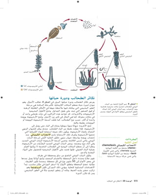 التكاثر في النباتات | PDF