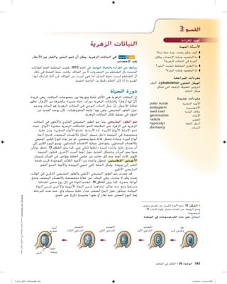 التكاثر في النباتات | PDF