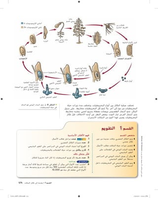 التكاثر في النباتات | PDF