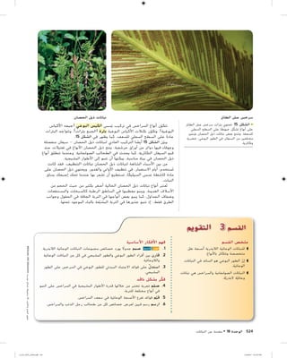 مقدمة عن النبات | PDF
