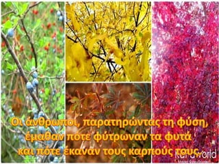 Μαρία Φρουδαράκη
 