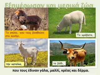 Το σκύλο, που τους βοηθούσε
στο κυνήγι. Το πρόβατο,
την κατσίκα, το βόδι,
που τους έδιναν γάλα, μαλλί, κρέας και δέρμα.
Μαρία Φρουδαράκη
 