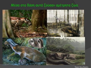 Μέσα στα δάση αυτά ζούσαν αμέτρητα ζώα.
Μαρία Φρουδαράκη
 