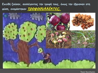 Επειδή ζούσαν, συλλέγοντας την τροφή τους, όπως την έβρισκαν στη
φύση, ονομάστηκαν τροφοσυλλέκτες.
Μαρία Φρουδαράκη
 