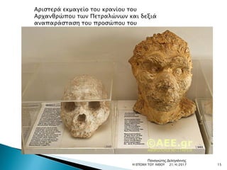 Αριστερά εκμαγείο του κρανίου του
Αρχανθρώπου των Πετραλώνων και δεξιά
αναπαράσταση του προσώπου του
21/4/2017 15Η ΕΠΟΧΗ ΤΟΥ ΛΙΘΟΥ
Παναγιώτης Δεληγιάννης
 