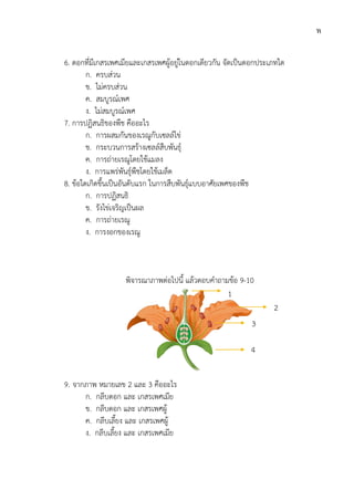 6. ดอกที่มีเกสรเพศเมียและเกสรเพศผูอยูในดอกเดียวกัน จัดเปนดอกประเภทใด
ก. ครบสวน
ข. ไมครบสวน
ค. สมบูรณเพศ
ง. ไมสมบูรณเพศ
7. การปฏิสนธิของพืช คืออะไร
ก. การผสมกันของเรณูกับเซลลไข
ข. กระบวนการสรางเซลลสืบพันธุ
ค. การถายเรณูโดยใชแมลง
ง. การแพรพันธุพืชโดยใชเมล็ด
8. ขอใดเกิดขึ้นเปนอันดับแรก ในการสืบพันธุแบบอาศัยเพศของพืช
ก. การปฏิสนธิ
ข. รังไขเจริญเปนผล
ค. การถายเรณู
ง. การงอกของเรณู
พิจารณาภาพตอไปนี้ แลวตอบคําถามขอ
9. จากภาพ หมายเลข
ก. กลีบดอก และ เกสรเพศเมีย
ข. กลีบดอก และ เกสรเพศผู
ค. กลีบเลี้ยง และ เกสรเพศผู
ง. กลีบเลี้ยง และ เกสรเพศเมีย
ดอกที่มีเกสรเพศเมียและเกสรเพศผูอยูในดอกเดียวกัน จัดเปนดอกประเภทใด
สมบูรณเพศ
ไมสมบูรณเพศ
การปฏิสนธิของพืช คืออะไร
การผสมกันของเรณูกับเซลลไข
กระบวนการสรางเซลลสืบพันธุ
การถายเรณูโดยใชแมลง
การแพรพันธุพืชโดยใชเมล็ด
ขอใดเกิดขึ้นเปนอันดับแรก ในการสืบพันธุแบบอาศัยเพศของพืช
การปฏิสนธิ
รังไขเจริญเปนผล
การถายเรณู
การงอกของเรณู
พิจารณาภาพตอไปนี้ แลวตอบคําถามขอ 9-10
2 และ 3 คืออะไร
กลีบดอก และ เกสรเพศเมีย
กลีบดอก และ เกสรเพศผู
กลีบเลี้ยง และ เกสรเพศผู
กลีบเลี้ยง และ เกสรเพศเมีย
1
3
4
พ
ดอกที่มีเกสรเพศเมียและเกสรเพศผูอยูในดอกเดียวกัน จัดเปนดอกประเภทใด
2
 