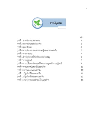 รูปที่ 1 สวนประกอบของดอก
รูปที่ 2 ดอกพริกและดอกมะเขือ
รูปที่ 3 ดอกฟกทอง
รูปที่ 4 สวนประกอบของ
รูปที่ 5 การถายเรณู
รูปที่ 6 ปจจัยตางๆ ที่ทําใหเกิดการถายเรณู
รูปที่ 7 การปฏิสนธิ
รูปที่ 8 การเปลี่ยนแปลงของรังไขและออวุลหลังการปฏิสนธิ
รูปที่ 9 การแตกหนอของไผและกลวย
รูปที่ 10 การแตกตนใหมจากใบ
รูปที่ 11 วัฏจักรชีวิตของมะเขือ
รูปที่ 12 วัฏจักรชีวิตของทานตะวัน
รูปที่ 13 วัฏจักรชีวิตของกระเจี๊ยบและขาว
สวนประกอบของดอก
ดอกพริกและดอกมะเขือ
สวนประกอบของเกสรเพศผูและเกสรเพศเมีย
ที่ทําใหเกิดการถายเรณู
การเปลี่ยนแปลงของรังไขและออวุลหลังการปฏิสนธิ
การแตกหนอของไผและกลวย
การแตกตนใหมจากใบ
วัฏจักรชีวิตของมะเขือ
วัฏจักรชีวิตของทานตะวัน
วัฏจักรชีวิตของกระเจี๊ยบและขาว
สารบัญภาพ
ง
หนา
4
5
5
6
7
8
8
9
10
10
11
12
13
 