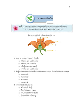 พิจารณาภาพตอไปนี้ แลวตอบคําถามขอ
1. จากภาพ หมายเลข
ก. กลีบดอก และ เกสรเพศเมีย
ข. กลีบดอก และ เกสรเพศผู
ค. กลีบเลี้ยง และ เกสรเพศผู
ง. กลีบเลี้ยง และ เกสรเพศเมีย
2. หอหุมดอกขณะที่ดอกยังออนเพื่อปองกันอันตรายจากแมลง
ก. หมายเลข 1
ข. หมายเลข 2
ค. หมายเลข 3
ง. หมายเลข 4
3. กลีบดอกมีประโยชนอยางไร
ก. สรางเซลลสืบพันธุ
ข. ปองกันอันตรายจากแมลง
ค. ใชในการสังเคราะหดวยแสง
ง. ลอแมลงเพื่อชวยถาย
คําชี้แจง ใหนักเรียนเลือกคําตอบที่ถูกตองที่สุดเพียงขอเดียวแลวทําเครื่องหมาย
กากบาท
พิจารณาภาพตอไปนี้ แลวตอบคําถามขอ 1-2
2 และ 3 คืออะไร
กลีบดอก และ เกสรเพศเมีย
กลีบดอก และ เกสรเพศผู
กลีบเลี้ยง และ เกสรเพศผู
กลีบเลี้ยง และ เกสรเพศเมีย
หอหุมดอกขณะที่ดอกยังออนเพื่อปองกันอันตรายจากแมลง คือประโยชนของหมายเลขใด
1
2
3
กลีบดอกมีประโยชนอยางไร
สรางเซลลสืบพันธุ
ปองกันอันตรายจากแมลง
ใชในการสังเคราะหดวยแสง
ลอแมลงเพื่อชวยถายเรณู
แบบทดสอบกอนเรียน
1
3
4
ใหนักเรียนเลือกคําตอบที่ถูกตองที่สุดเพียงขอเดียวแลวทําเครื่องหมาย
กากบาท () ลงในกระดาษคําตอบ (คะแนนเต็ม
ช
คือประโยชนของหมายเลขใด
2
ใหนักเรียนเลือกคําตอบที่ถูกตองที่สุดเพียงขอเดียวแลวทําเครื่องหมาย
คะแนนเต็ม 10 คะแนน)
 