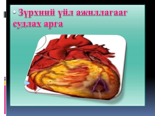 зүрх судасны физиологи