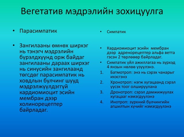 зүрх судасны физиологи