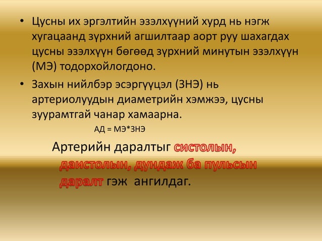 зүрх судасны физиологи