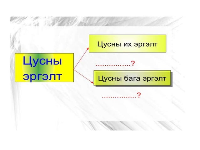 зүрх судасны физиологи