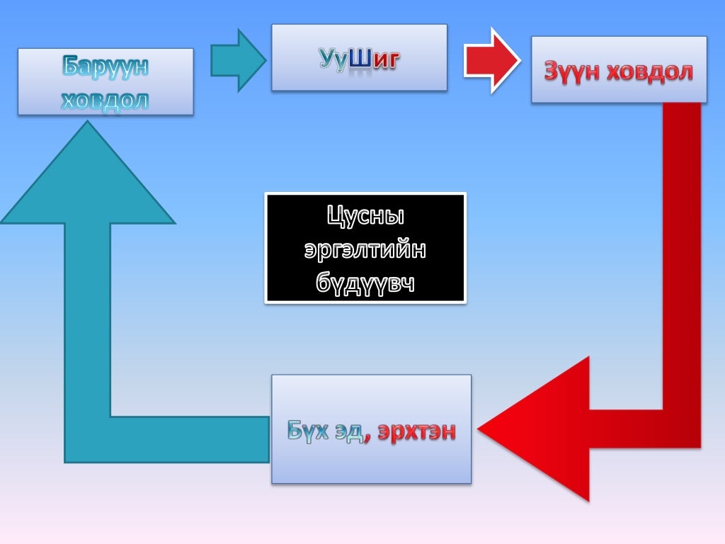 зүрх судасны физиологи