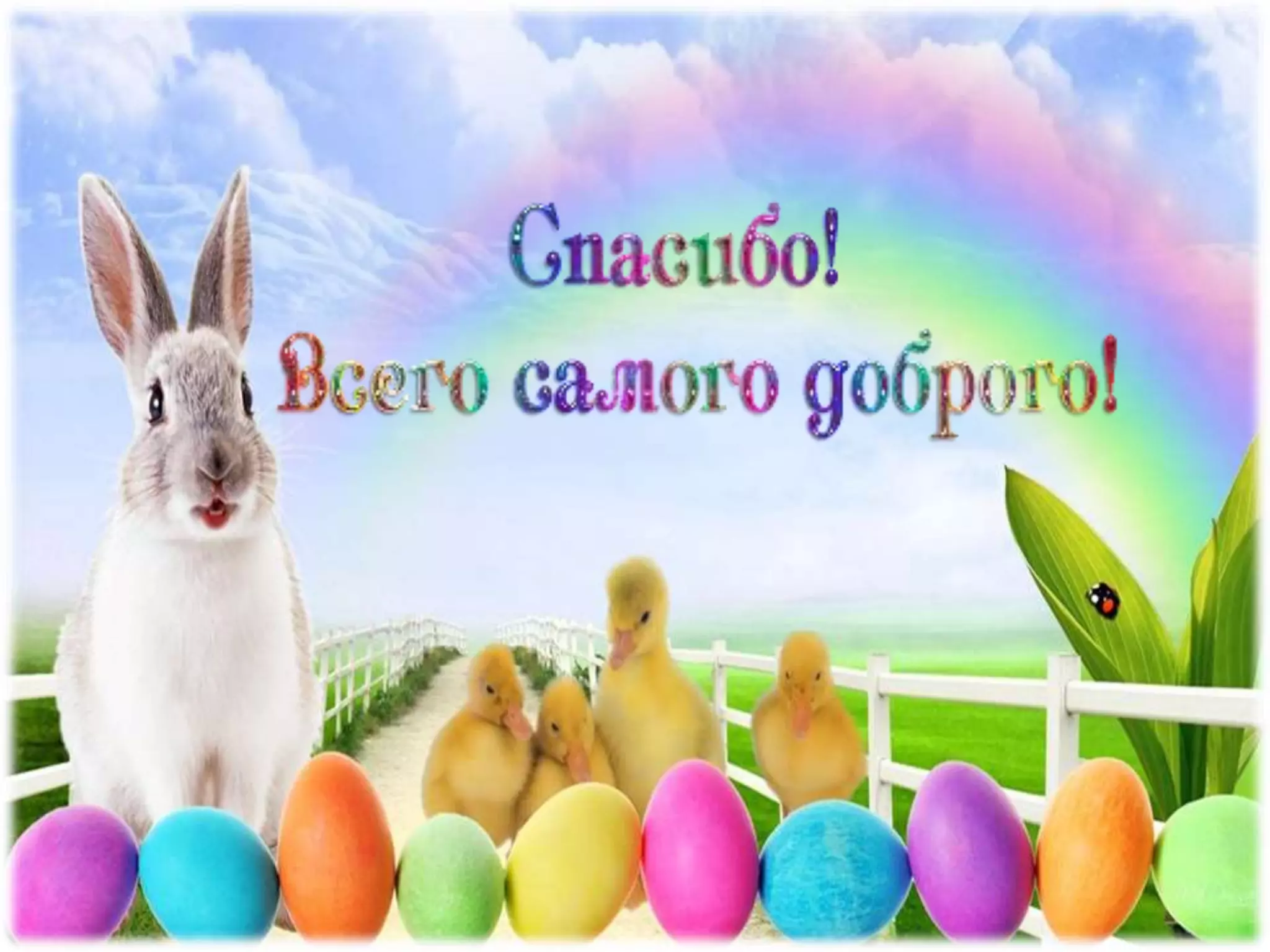 Мир пасхальных яиц