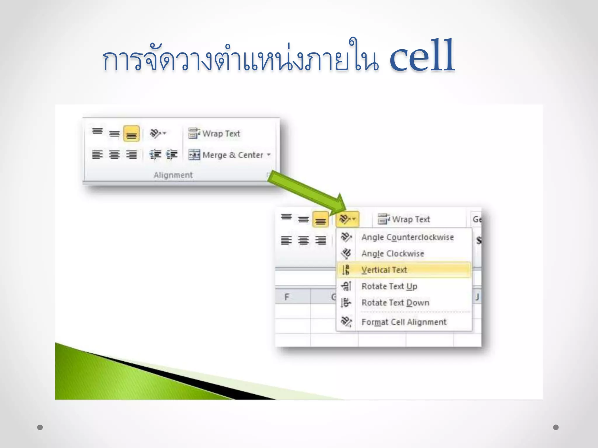การจัดวางตาแหน่งภายใน cell
 