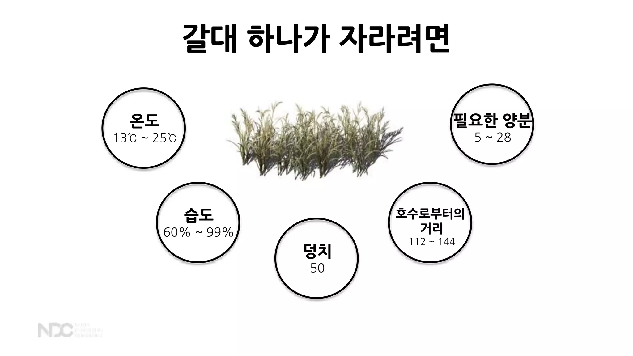 온도
13℃ ~ 25℃
습도
60% ~ 99%
필요한 양분
5 ~ 28
덩치
50
호수로부터의
거리
112 ~ 144
갈대 하나가 자라려면
 