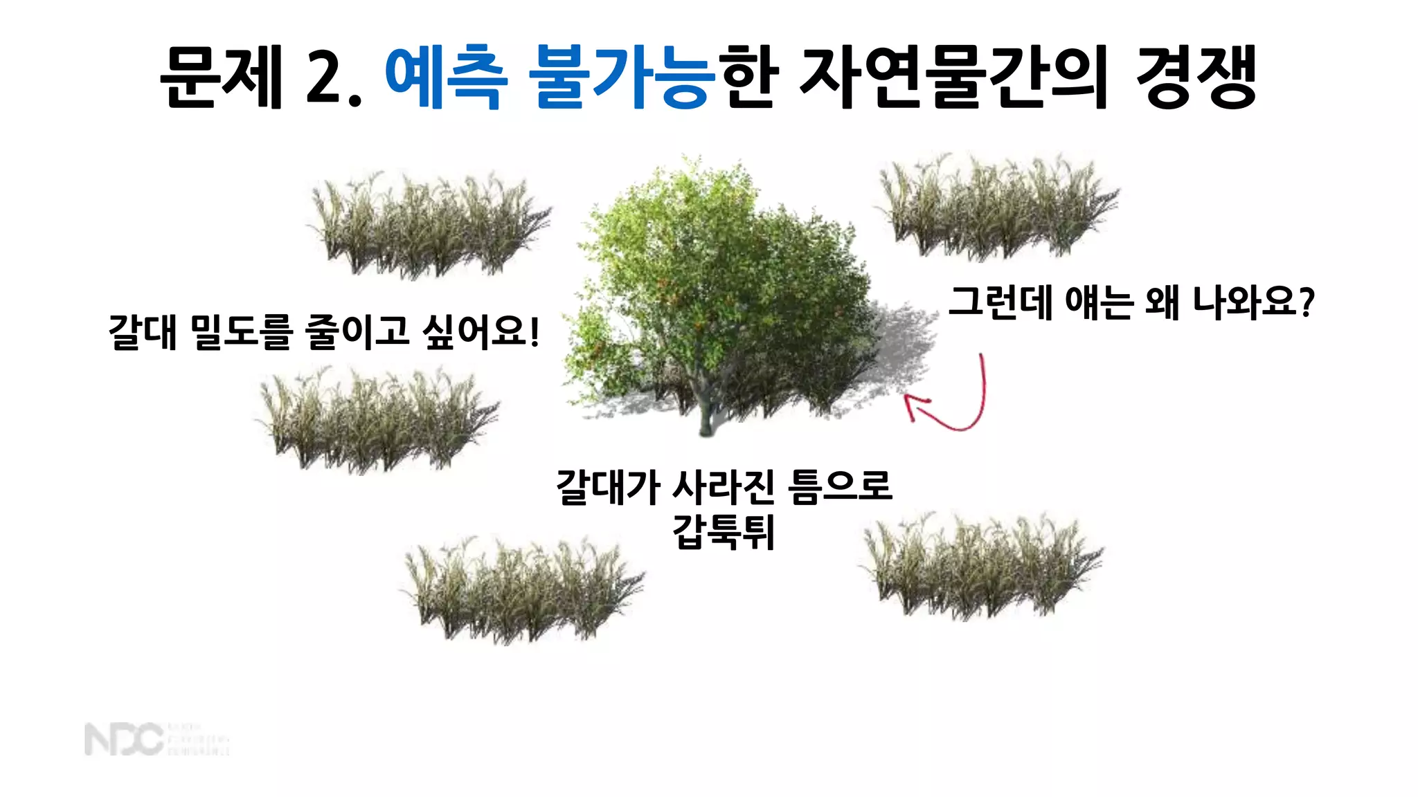 갈대 밀도를 줄이고 싶어요!
그런데 얘는 왜 나와요?
갈대가 사라진 틈으로
갑툭튀
문제 2. 예측 불가능한 자연물간의 경쟁
 