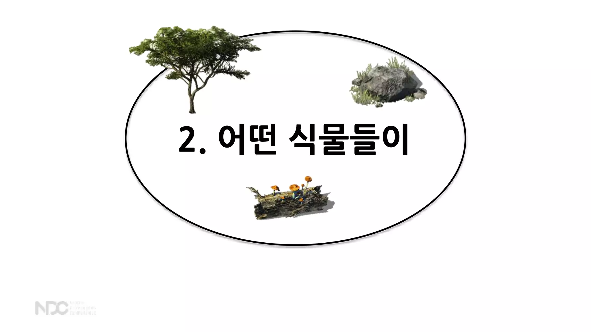 2. 어떤 식물들이
 