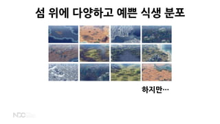 섬 위에 다양하고 예쁜 식생 분포
하지만…
 