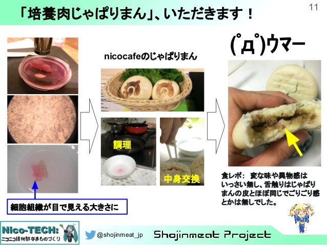 おうちで培養肉じゃぱりまん作ってみた おうちで培養肉じゃぱりまん作ってみた