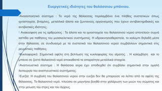 Ευεργετικές ιδιότητες του θαλάσσιου μπάνιου.
Ανοσοποιητικό σύστημα : Το νερό της θάλασσας περιλαμβάνει ένα πλήθος συστατικών όπως
ιχνοστοιχεία, βιταμίνες, μεταλλικά άλατα και ζωντανούς οργανισμούς που έχουν αντιβακτηριδιακές και
αντιβιοτικές ιδιότητες.
 Ανακούφιση για τις αρθρώσεις : Τα άλατα και τα ιχνοστοιχεία του θαλασσινού νερού αποτελούν συχνά
ασπίδα για παθήσεις του μυοσκελετικού συστήματος. Η υδροκινησιοθεραπεία, το κολύμπι δηλαδή μέσα
στην θάλασσα, σε συνδυασμό με τα συστατικά του θαλασσινού νερού συμβάλλουν σημαντικά στις
ρευματικές παθήσεις.
Κυκλοφορικό: Σημαντικά οφέλη στη βελτίωση της κυκλοφορίας του αίματος. . Η κολύμβηση και το
μπάνιο σε ζεστό θαλασσινό νερό αποκαθιστά τα απαραίτητα μεταλλικά στοιχεία.
Αναπνευστικό σύστημα : Η θαλάσσια αύρα έχει αποδειχθεί ότι συμβάλει σημαντικά στην ομαλή
λειτουργία του αναπνευστικού συστήματος.
Ευεξία: Η συμβολή του θαλασσινού νερού στην ευεξία δεν θα μπορούσε να λείπει από τα οφέλη της
θάλασσας. Το θαλασσινό νερό, πλούσιο σε μαγνήσιο βοηθά στην χαλάρωση των μυών του σώματος και
στην μείωση του στρες και του άγχους.
 