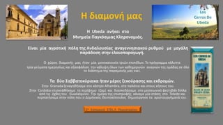 Η διαμονή μας
Η Ubeda ανήκει στα
Μνημεία Παγκόσμιας Κληρονομιάς.
Είναι μία αγροτική πόλη της Ανδαλουσίας αναγεννησιακού ρυθμού με μεγάλη
παράδοση στην ελαιοπαραγωγή.
Ο χώρος διαμονής μας ήταν μία μονοκατοικία τριών επιπέδων. Το πρόγραμμα κάλυπτε
τρία γεύματα ημερησίως και εξασφάλισε την κάλυψη όλων των καθημερινών αναγκών της ομάδας σε όλο
το διάστημα της παραμονής μας εκεί.
Τα δύο Σαββατοκύριακα ήταν μέρες ξεκούρασης και εκδρομών.
Στην Granada ξεναγηθήκαμε στο κάστρο Alhambra, στα παλάτια και στους κήπους του.
Στην Cordoba επισκεφθήκαμε το περίφημο τζαμί και διασκεδάσαμε στο μεσαιωνικό φεστιβάλ δίπλα
από τις όχθες του Guadalquivir. Την ημέρα της επιστροφής κάναμε μία στάση στο Toledo και
περπατήσαμε στην πόλη που ο Δομήνικος Θεοτοκόπουλος δημιούργησε τα αριστουργήματά του.
Los
Cerros De
Ubeda
2ο Εσπερινό ΕΠΑ.Λ Περιστερίου
 