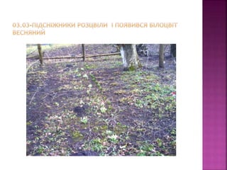 первоцвіти просять захисту
