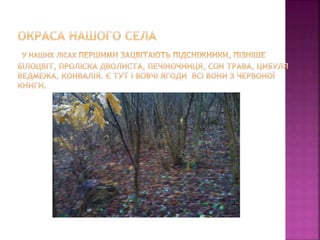 первоцвіти просять захисту