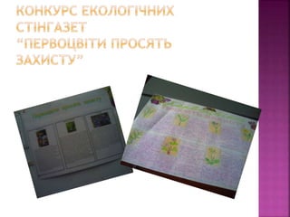 первоцвіти просять захисту
