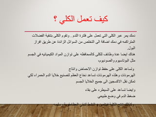 ‫؟‬ ‫الكلي‬ ‫تعمل‬ ‫كيف‬
‫اللدم‬ ‫فلترة‬ ‫على‬ ‫تعمل‬ ً‫الت‬ ‫الكلى‬ ‫عبر‬ ‫ٌمر‬ ‫دمن‬.‫الفضالت‬ ‫بتنمٌة‬ ‫الكلى‬ ‫وتموم‬
‫افراز‬ ‫طرٌك‬ ‫عن‬ ‫الزائدة‬ ‫السوائل‬ ‫من‬ ‫التخلص‬ ‫الى‬ ‫اضافة‬ ‫دمن‬ ً‫ف‬ ‫المتراكمه‬
‫البول‬.
‫الجسم‬ ً‫ف‬ ‫الكٌمٌائٌه‬ ‫المواد‬ ‫توازن‬ ‫على‬ ‫كالمحافظه‬ ‫للكلى‬ ‫وظائؾ‬ ‫عدة‬ ‫اٌضا‬ ‫هنان‬
،‫والصودٌوم‬ ‫البوتاسٌوم‬ ‫مثل‬
‫وانتاج‬ ‫االحماض‬ ‫توازن‬ ‫حفظ‬ ‫على‬ ‫الكلى‬ ‫وتساعد‬
ً‫لك‬ ‫الحمراء‬ ‫الدم‬ ‫خالٌا‬ ‫لتصنٌع‬ ‫العظم‬ ‫نخاع‬ ‫تساعد‬ ‫الهرمونات‬ ‫وهلذه‬ ‫الهرمونات‬
‫الجسم‬ ‫الخالٌا‬ ‫جمٌع‬ ‫الى‬ ‫االكسجٌن‬ ‫نمل‬ ‫تمكن‬
‫بماء‬ ‫على‬ ‫السٌطره‬ ‫على‬ ‫تساعد‬ ‫واٌضا‬
ً‫طبٌع‬ ‫وضع‬ ً‫ف‬ ‫الدم‬ ‫ضؽظ‬
‫وسلٌمه‬ ‫العظامموٌة‬ ً‫لتبم‬ ‫النشط‬ ‫د‬ ‫فٌتامٌن‬ ‫الكلٌة‬ ‫تنتج‬ ‫وكذالن‬
 