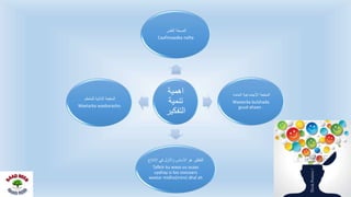 ‫اهمية‬
‫تنمية‬
‫التفكير‬
‫النفس‬ ‫الصحة‬
Caafimaadka nafta
‫العامه‬ ‫األجتماعية‬ ‫المنفعة‬
Waxtarka bulshada
guud ahaan .
‫االنتا‬ ‫في‬ ‫واالول‬ ‫االساس‬ ‫هو‬ ‫التفكير‬‫ج‬
Tafkiir ku waxa uu asaas
uyahay si loo soosaaro
waxtar midho(miro) dhal ah
‫للمتعلم‬ ‫الذاتية‬ ‫المنفعة‬
Waxtarka waxbarasho
 