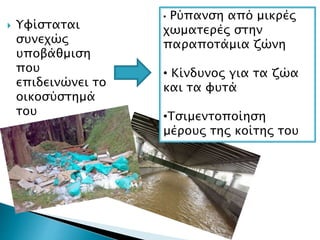  Υφίσταται
συνεχώς
υποβάθμιση
που
επιδεινώνει το
οικοσύστημά
του
• Ρύπανση από μικρές
χωματερές στην
παραποτάμια ζώνη
• Κίνδυνος για τα ζώα
και τα φυτά
•Τσιμεντοποίηση
μέρους της κοίτης του
 