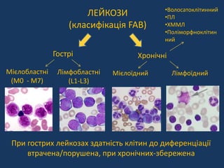 патофізіологія білої крові Slide 19