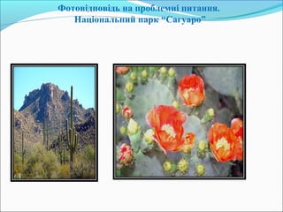 Фотовідповідь на проблемні питання.
Національний парк “Сагуаро”
 