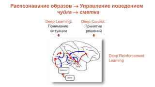 Распознавание образов  Управление поведением
чуйка  сметка
Deep Learning:
Понимание
ситуации
Deep Control:
Принятие
решений
Deep Reinforcement
Learning
 